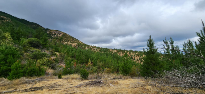 parcela-semi-despejada-con-vista-al-valle-en-c-8