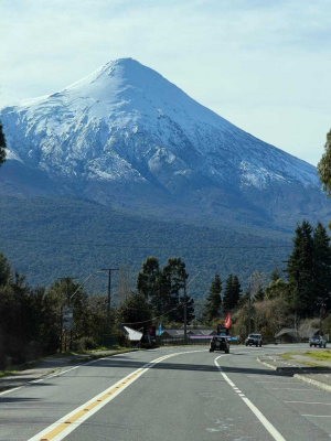 ¡vive-en-el-corazon-del-bosque-nativo!-(163231)-8