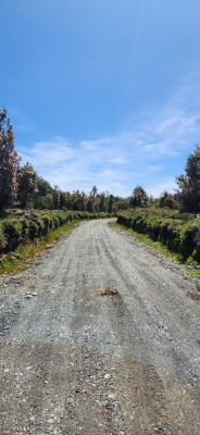 parcela-semi-despejada-con-acceso-a-laguna-en-q-8