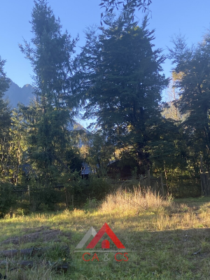 -7
