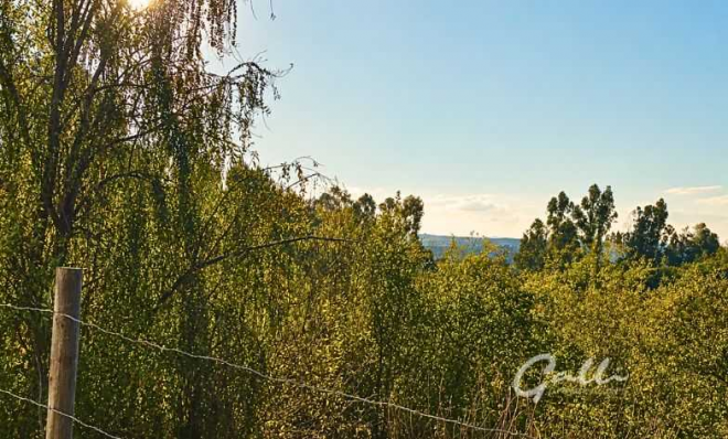 terreno-ideal-para-inversion-y-desarrollo-(164224)-9