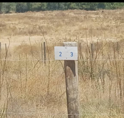 -10