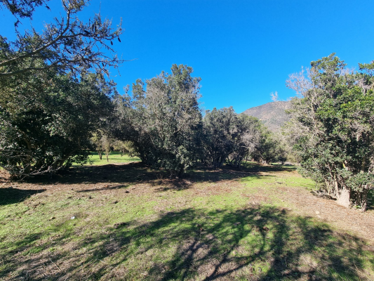 cumbres-de-san-pedro-7