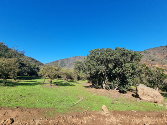 cumbres-de-san-pedro-8