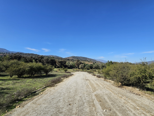 el-carpintero-4