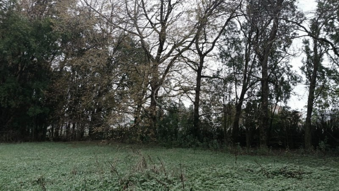 -4