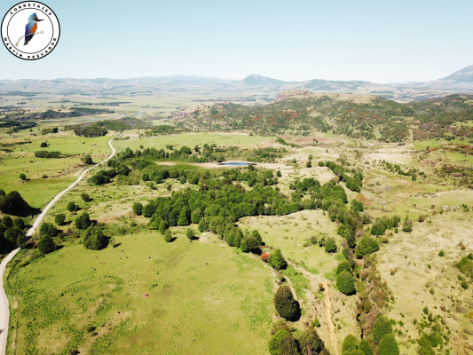 se-vende-campo-en-6-lagunas-6