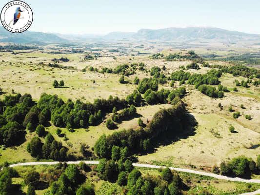 se-vende-campo-en-6-lagunas-8