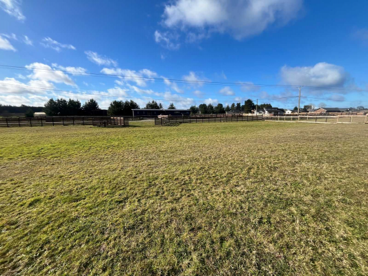 -14