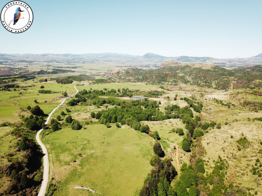 se-vende-campo-en-6-lagunas-5