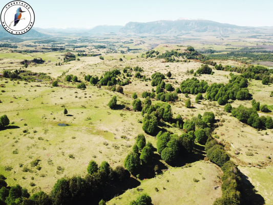 se-vende-campo-en-6-lagunas-8