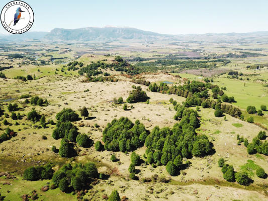 se-vende-campo-en-6-lagunas-9