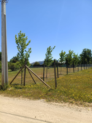 se-vende-terreno-5100-mts-camino-a-vilches-4