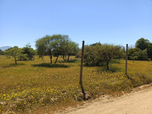 se-vende-terreno-5100-mts-camino-a-vilches-6