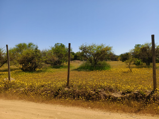 se-vende-terreno-5100-mts-camino-a-vilches-4