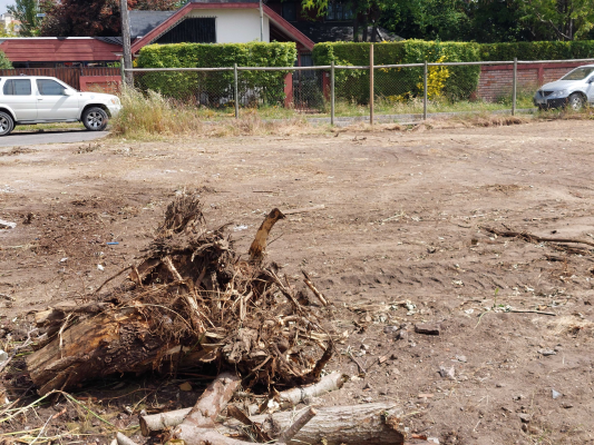 sitio---los-pensamientos-(66330)-8