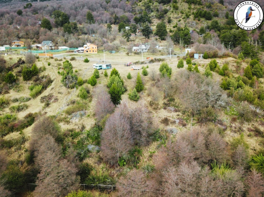 ¡vive-rodeado-de-naturaleza-a-minutos-de-la-ciu-4