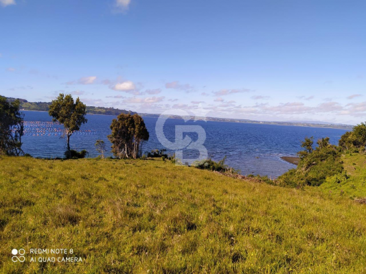 41106-8