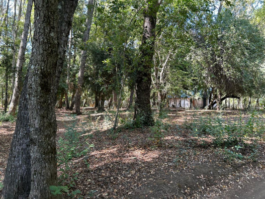 venta-terreno---sitio-4700mts-san-clemente-4