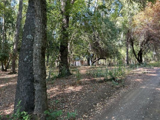 venta-terreno---sitio-4700mts-san-clemente-5