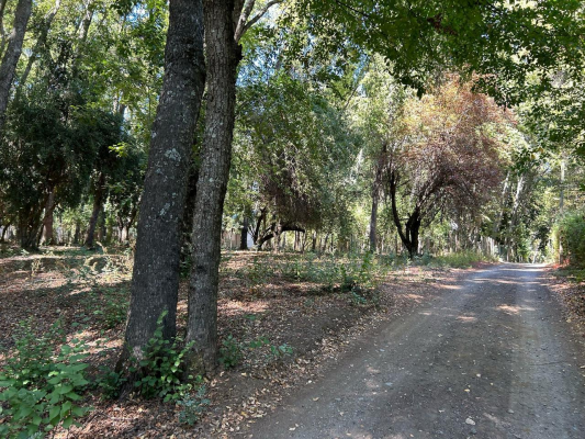 venta-terreno---sitio-4700mts-san-clemente-6