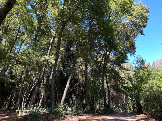 venta-terreno---sitio-4700mts-san-clemente-7