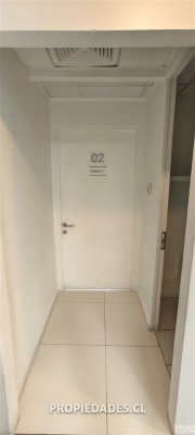 -19