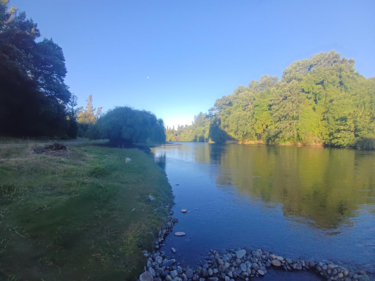 vendo-campo-con-casas-sector-turistico-5