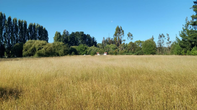 vendo-campo-con-casas-sector-turistico-6