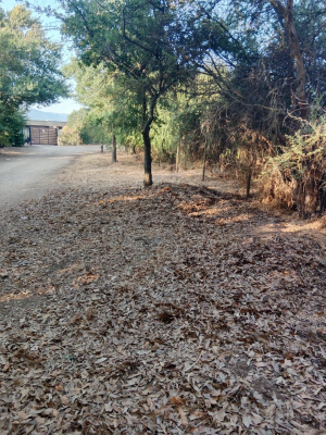 venta-parcela-5000mts-curacavi-5