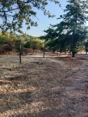 venta-parcela-5000mts-curacavi-9