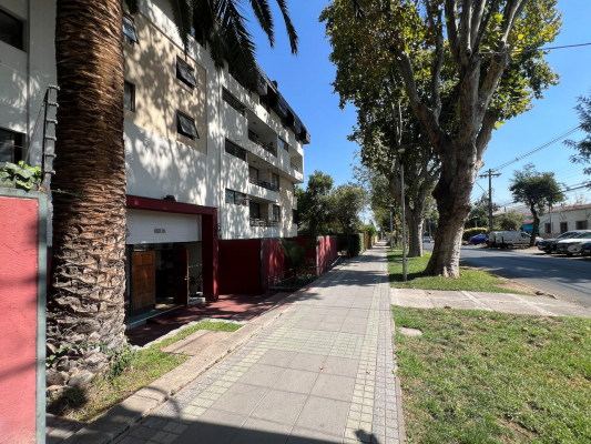 un-barrio-para-disfrutar-caminando-3
