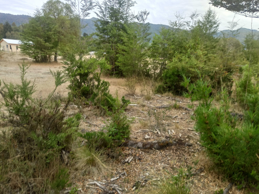 terreno-ideal-para-inversion-en-naturaleza-(165-8