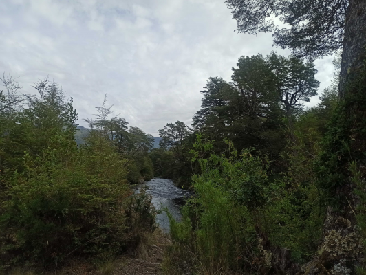 terreno-ideal-para-inversion-en-naturaleza-(165-9