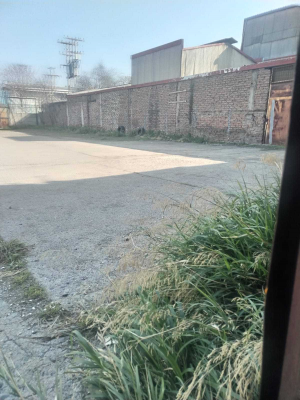 -9