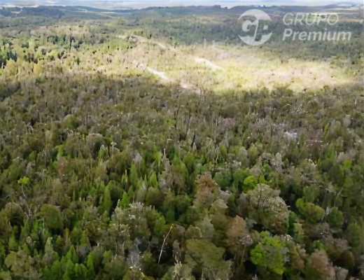 104076726-5