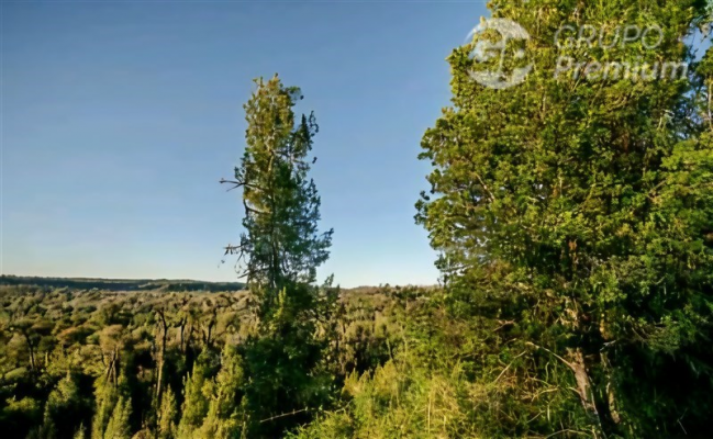 104076726-7