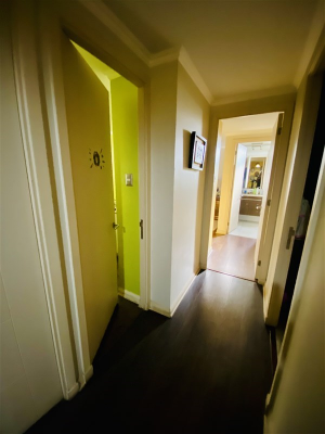 -19