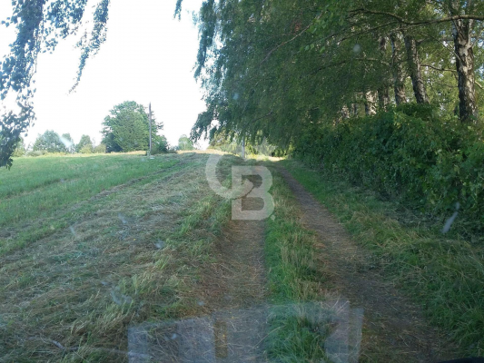 -5