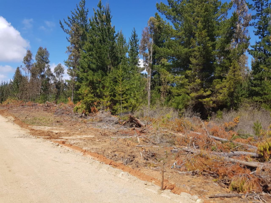 venta-sitio-5000-m2-a-15-min-pichilemu-3