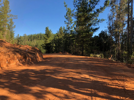 venta-sitio-5000-m2-a-15-min-pichilemu-5