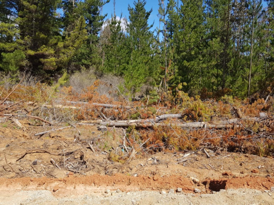 venta-sitio-5000-m2-a-15-min-pichilemu-6