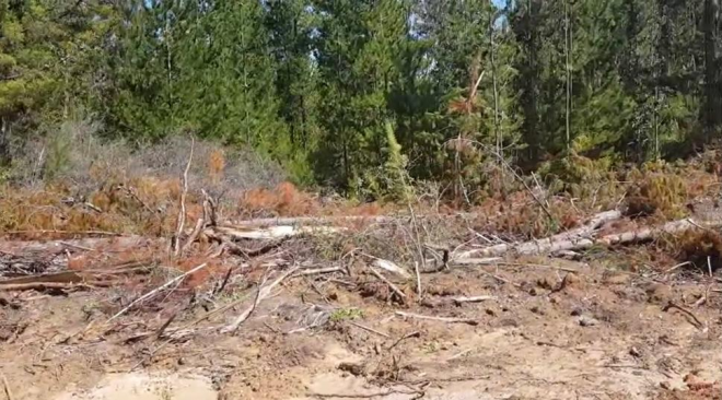 venta-sitio-5000-m2-a-15-min-pichilemu-8