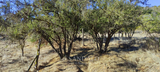 parcela-de-11000-m2-en-santa-maria-de-los-quill-8