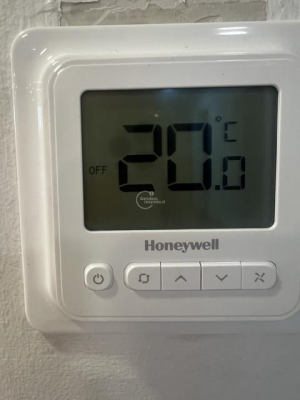 -24