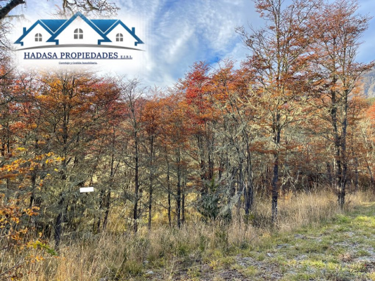 parcela-5000-m²-en-coyhaique-con-servicios-bas-4