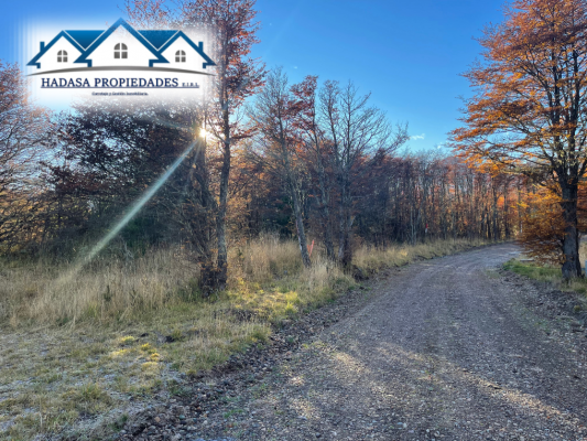 parcela-5000-m²-en-coyhaique-con-servicios-bas-7