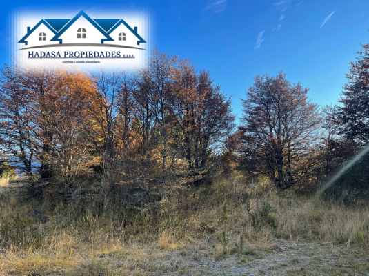 parcela-5000-m²-en-coyhaique-con-servicios-bas-8
