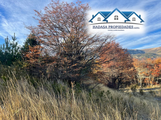 parcela-5000-m²-en-coyhaique-con-servicios-bas-9
