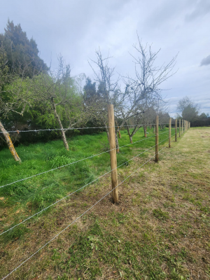 casa-a-la-venta-de-alto-estandar-en-camino-botr-5